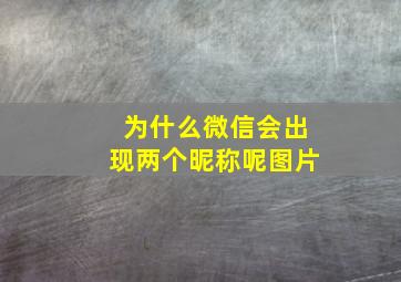 为什么微信会出现两个昵称呢图片