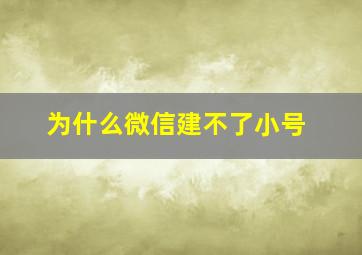 为什么微信建不了小号