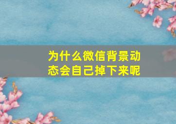 为什么微信背景动态会自己掉下来呢