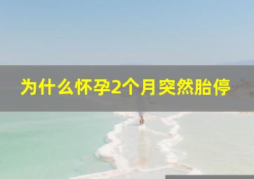 为什么怀孕2个月突然胎停