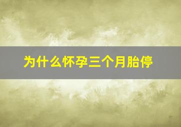 为什么怀孕三个月胎停