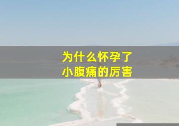 为什么怀孕了小腹痛的厉害