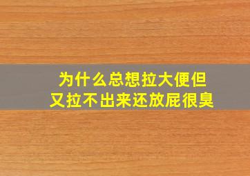 为什么总想拉大便但又拉不出来还放屁很臭