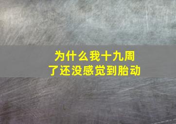 为什么我十九周了还没感觉到胎动