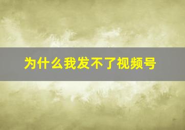 为什么我发不了视频号