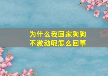 为什么我回家狗狗不激动呢怎么回事