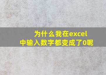 为什么我在excel中输入数字都变成了0呢