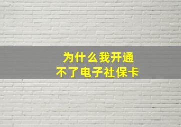 为什么我开通不了电子社保卡