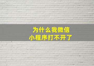 为什么我微信小程序打不开了