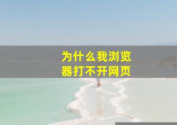 为什么我浏览器打不开网页