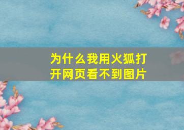 为什么我用火狐打开网页看不到图片