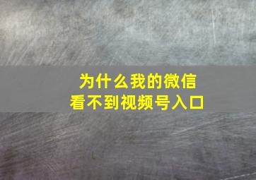 为什么我的微信看不到视频号入口