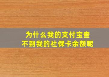 为什么我的支付宝查不到我的社保卡余额呢