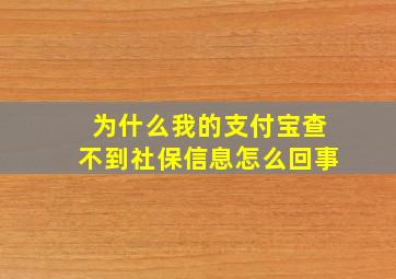 为什么我的支付宝查不到社保信息怎么回事