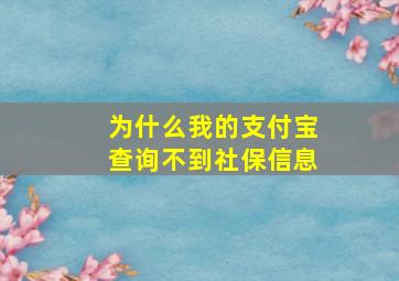 为什么我的支付宝查询不到社保信息