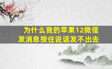 为什么我的苹果12微信发消息按住说话发不出去