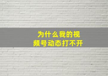 为什么我的视频号动态打不开