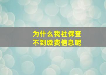 为什么我社保查不到缴费信息呢