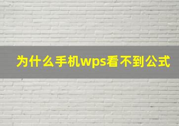 为什么手机wps看不到公式