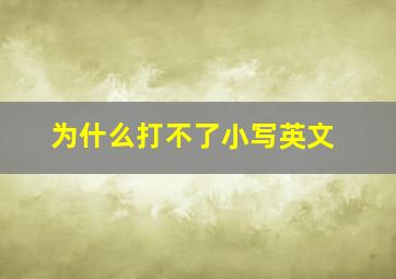 为什么打不了小写英文