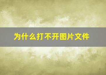 为什么打不开图片文件