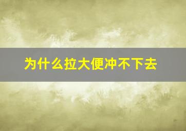 为什么拉大便冲不下去