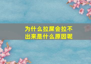 为什么拉屎会拉不出来是什么原因呢