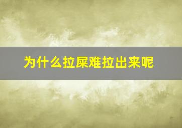 为什么拉屎难拉出来呢