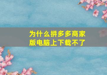 为什么拼多多商家版电脑上下载不了