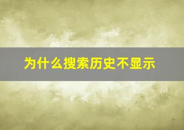 为什么搜索历史不显示