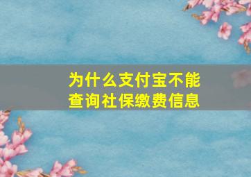 为什么支付宝不能查询社保缴费信息