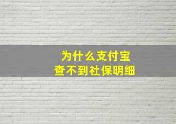 为什么支付宝查不到社保明细