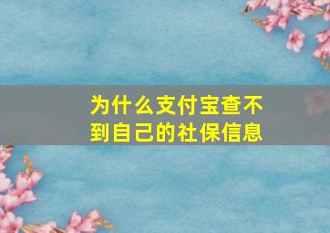 为什么支付宝查不到自己的社保信息