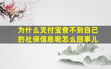 为什么支付宝查不到自己的社保信息呢怎么回事儿