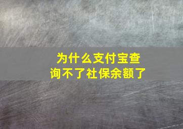 为什么支付宝查询不了社保余额了