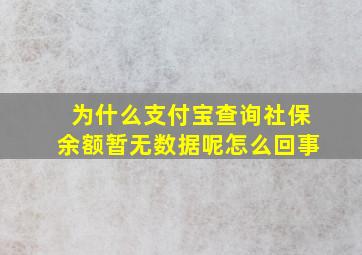 为什么支付宝查询社保余额暂无数据呢怎么回事