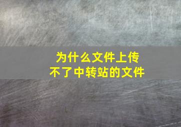 为什么文件上传不了中转站的文件