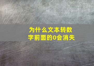 为什么文本转数字前面的0会消失