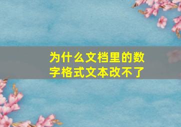 为什么文档里的数字格式文本改不了