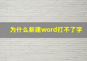 为什么新建word打不了字