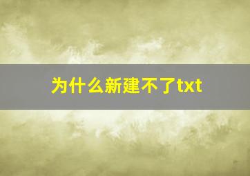 为什么新建不了txt