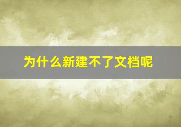 为什么新建不了文档呢