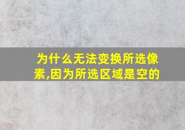 为什么无法变换所选像素,因为所选区域是空的