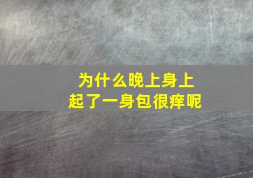 为什么晚上身上起了一身包很痒呢