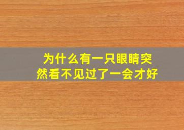 为什么有一只眼睛突然看不见过了一会才好