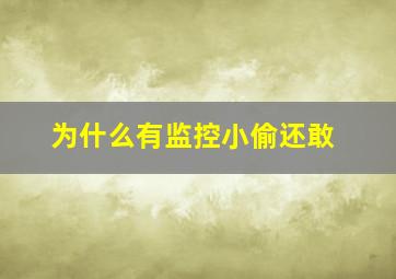 为什么有监控小偷还敢