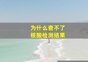 为什么查不了核酸检测结果