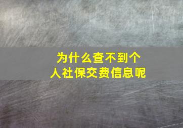 为什么查不到个人社保交费信息呢