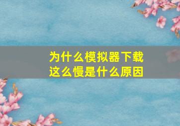 为什么模拟器下载这么慢是什么原因