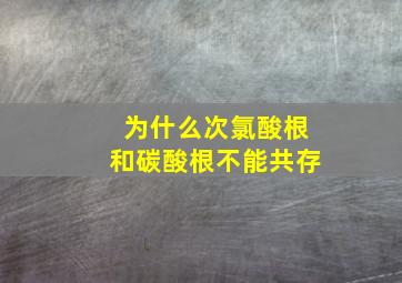 为什么次氯酸根和碳酸根不能共存